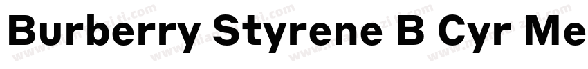 Burberry Styrene B Cyr Medium Plus字体转换